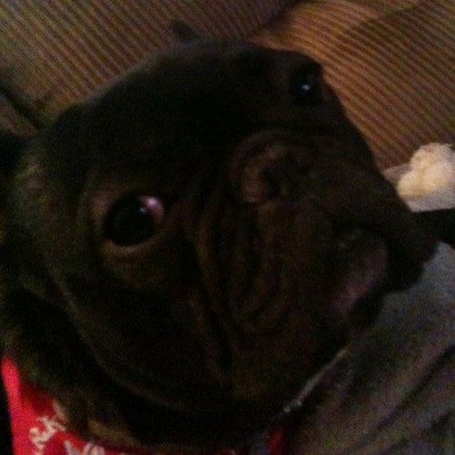 tracimaedw's profile picture. 