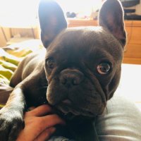 OpenedBeatle460 (@william37395390) 's Twitter Profile