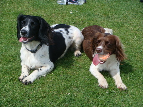 PurdySmith's profile picture. 