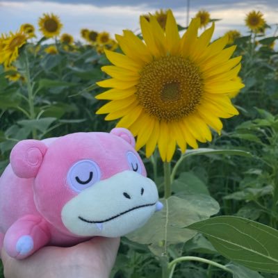 ひまわりさんのプロフィール画像