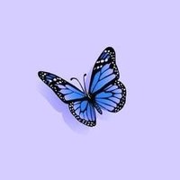 butterfly🦋 (@bbsva26) 's Twitter Profile