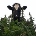 Catherine Redmond - @Catheri52296692 - Twitter