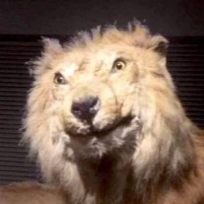 InstantRefresh's profile picture. desculpa a vergonha que passei