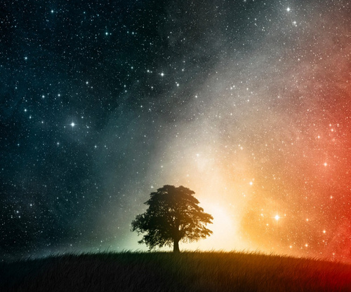 Starflower444's profile picture. 