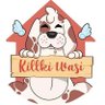 Killki_Wasi's profile picture. Cuando a Dios se le acaban las alas, pone colitas 🐾 Rescatamos, tratamos y salvamos hasta consigan un hogar 💕 https://t.co/1T4uOsgyKK