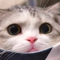 Sebastian (@sebasti32243220) 's Twitter Profile