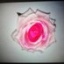 Nachtkurier Rose (@nachtkurier_ros) Twitter profile photo Nachtkurier Rose (@nachtkurier_ros) Twitter profile photo