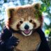 Croiyaki (@croiyaki) Twitter profile photo Croiyaki (@croiyaki) Twitter profile photo