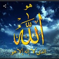 Ali Ali (@aliali31313955) 's Twitter Profile