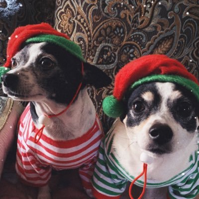 jensine_mata's profile picture. 