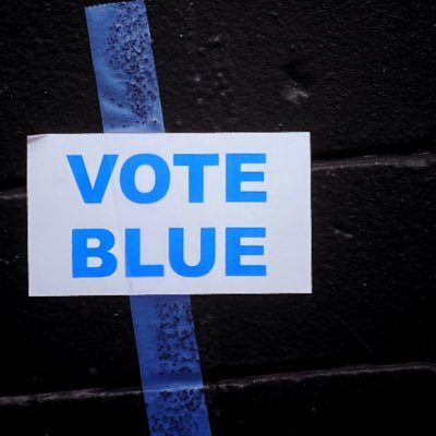 The Boldly Blue Democrats of Clayton County Georgia. 🌊 ❄️ 🍑