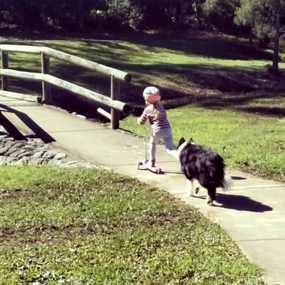 steveliot's profile picture. God, Family and Life