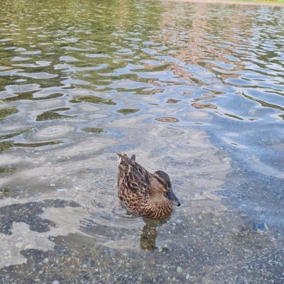 karsiligine's profile picture. Unternehmensführung