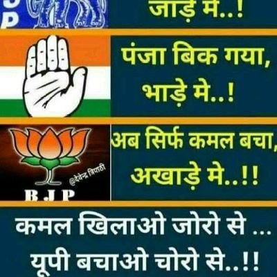 YogeshK18583312's profile picture. I love modi g