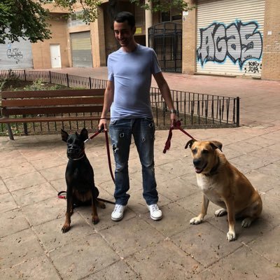 de la Terreta | Design&Built -Tech Director@Veritas Entertainment GmbH /@lvlglobal since apr2019.| Dogs and other animal behaviour