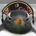 Rororo (@arghthree) Twitter profile photo Rororo (@arghthree) Twitter profile photo