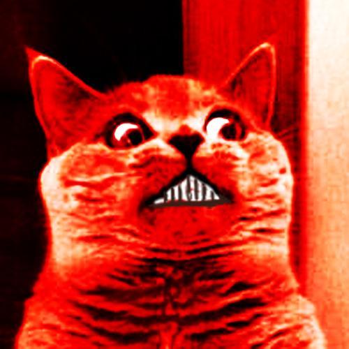 pl0lq's profile picture. InfoSec? I know how.