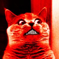 X (@pl0lq) 's Twitter Profile