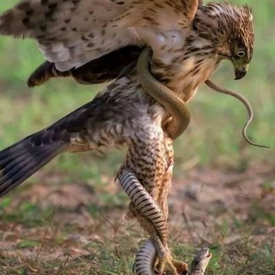 VCj0Wn1qH0DCw89's profile picture. 