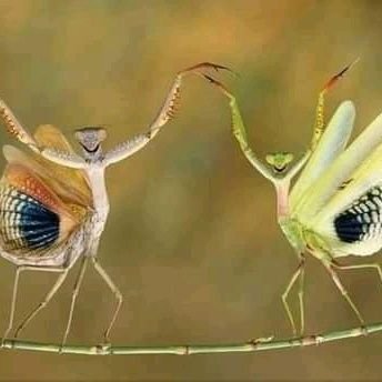 LAWRY0501's profile picture. 