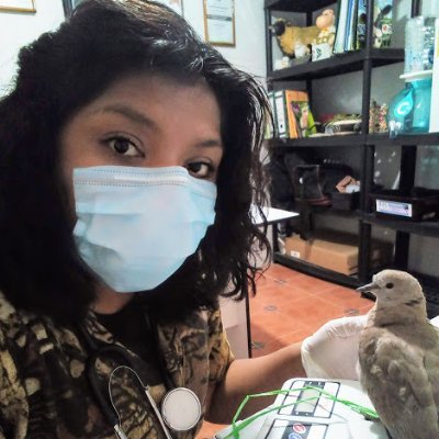 MvzLyly's profile picture. 🙂😁😉😊