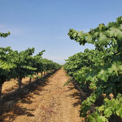 keanotions's profile picture. Growth takes change.