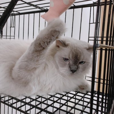 Gabriel05698678's profile picture. 