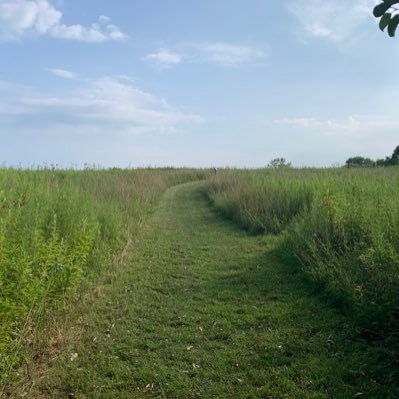 mira09639029's profile picture. evig tänkare och barn av planeten