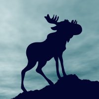 StealthyMoose (@stealthymoose) 's Twitter Profile