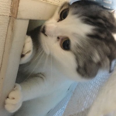 0jN6xuXXglJyHBG's profile picture. 閲覧といいね押すための垢。成人済