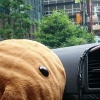 さき@取引用(通知不調中 連絡取れない場合は本垢へ) (@nkdzmfuykirwtfo) 's Twitter Profile