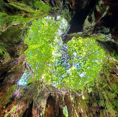 キャンプと登山を趣味でやっています⛰️🏕 リゾバで全国各地を拠点にして、アウトドアや車中泊を楽しんでます🚗 カーネル&SOTOBIRA公認アンバサダー