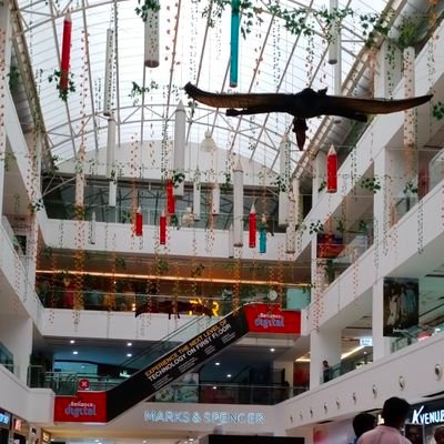 seetdpk8998's profile picture. SPECIAL EDUCATOR