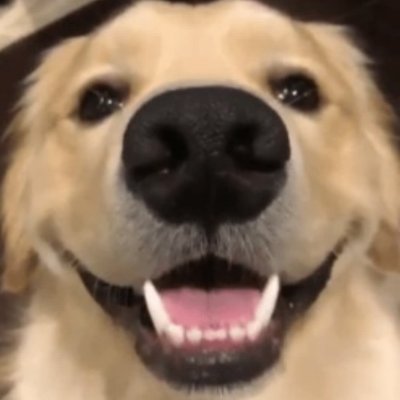 Hz_ali571's profile picture. Elektrikli süpürgen olmak istiyorum senin, tozlarının içinde nefes alan.