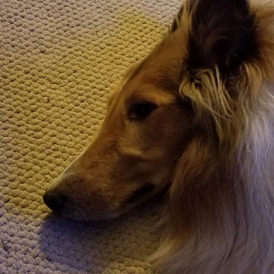 Etone0524's profile picture. Use a condom kids, you'll thank me later