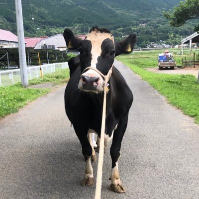 ラオっち 酪農王国オラッチェ | 三島市観光Web