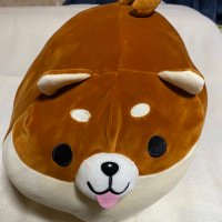 しば(@shiba_box1109) 's Twitter Profileg