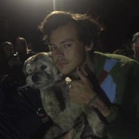 danin’t (@eversincemymind) 's Twitter Profile