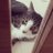 だそだそのアイコン