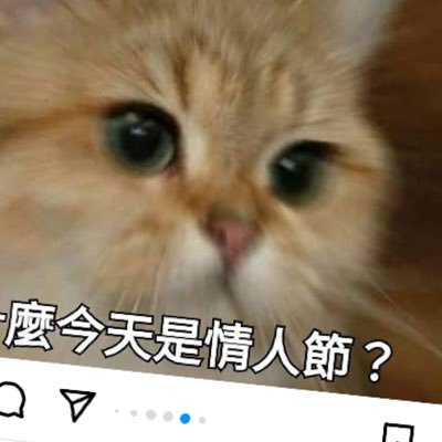 @foxgo9527
