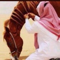 abo_Fahd (@r___f778) 's Twitter Profile