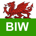 braininjuries's profile picture. Welcome:  Brain Injury Wales is a professional service offering independent brain injury case management.