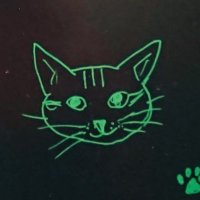 ぽののあ🐱Pono.noa (@noapono) Twitter profile photo