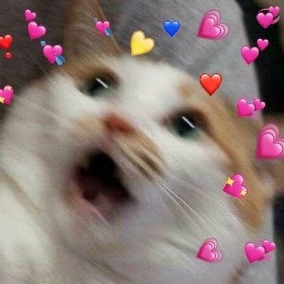 psryt1's profile picture. 