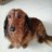 monkiti_55's profile image