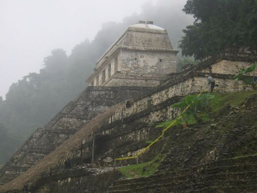 beethy3's profile picture. 