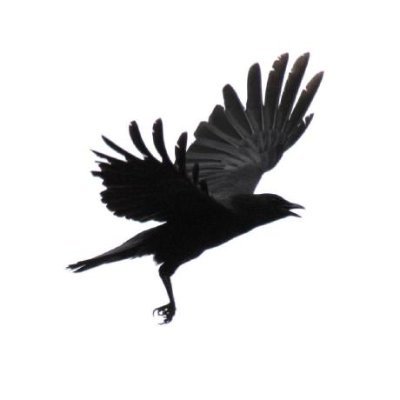 yi_hyunjoon's profile picture. 