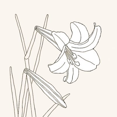 𝗒𝖺𝗆𝖺さんのプロフィール画像