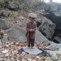 Tawfik Mohamed (@tawfikm38619152) 's Twitter Profile Photo