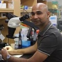 Anupratap tomar (@anupratap_tomar) 's Twitter Profile